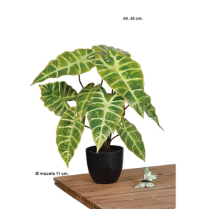 Planta artificial Alocasia (copia)