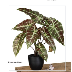 Planta artificial Alocasia