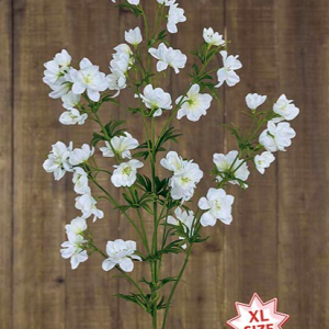 GIANT DELPHINIUM. 123 cm. Crema