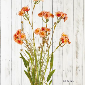 RAMILLETE CAMOMILA. Rust Orange