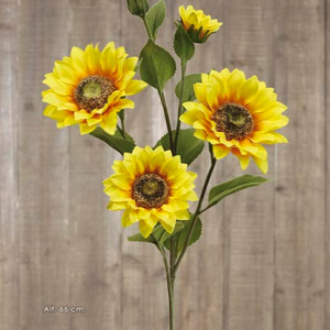 GIRASOL  66 cm. Amarillo.