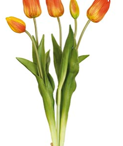 MANOJO TULIPANES 46 cm. Naranja.