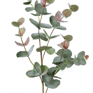 RAMA EUCALYPTUS  85 cm. Mixturado.