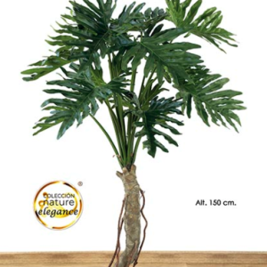 MACETA PHILO SELLOUM. 150 cm. Verde.