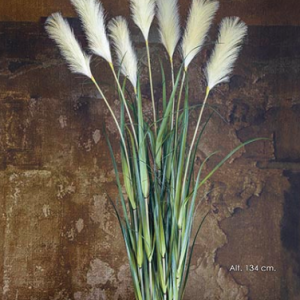 MACETA GRAMÍNEA PAMPAS  1,34 cm.