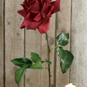 ROSA . 71 cm. Rojo.