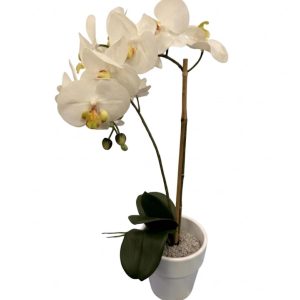 Orquídea Flor artificial Blanca